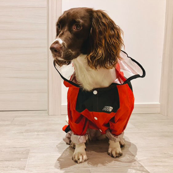 IMPERMEABILE PER CANI CON CAPPUCCIO Fluo