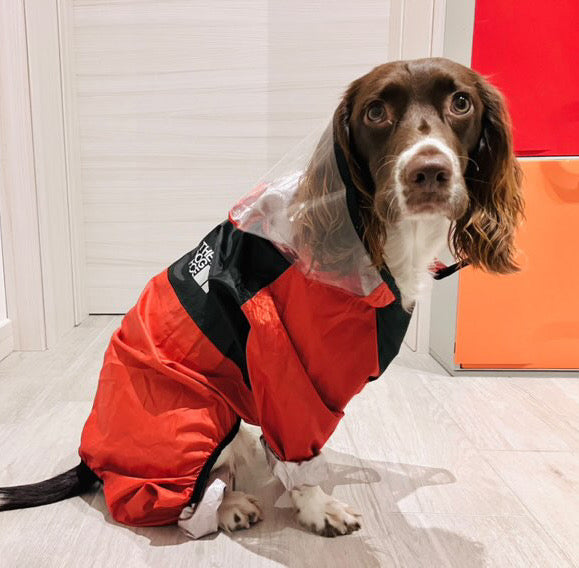 IMPERMEABILE PER CANI CON CAPPUCCIO Fluo