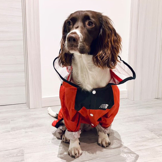 IMPERMEABILE PER CANI CON CAPPUCCIO Fluo