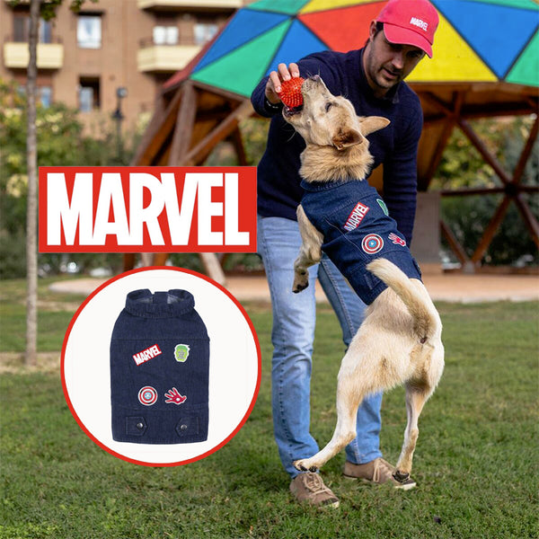 Giacca per cani Marvel Jeans