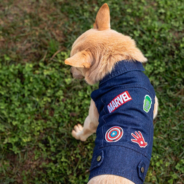Giacca per cani Marvel Jeans