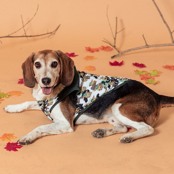 Cappotto per Cani Star Wars The Mandalorian