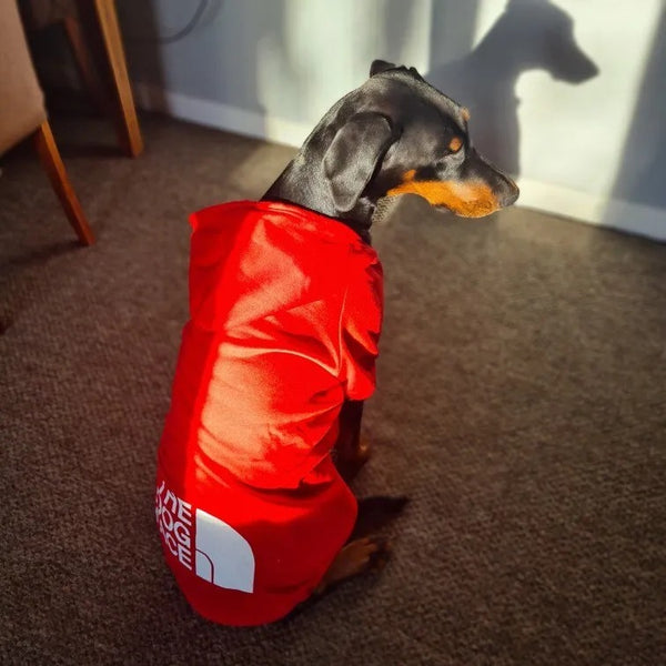 FELPA PER CANI COLOR