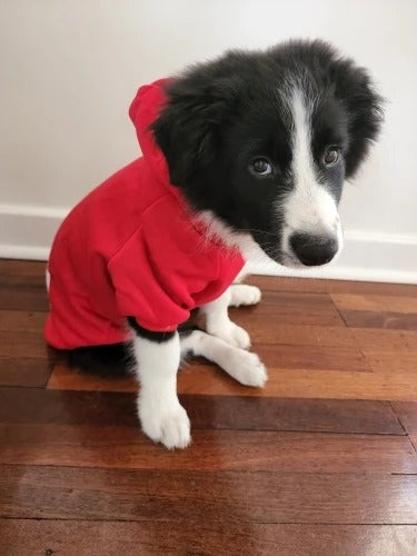 FELPA PER CANI COLOR