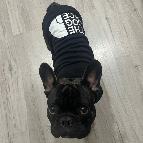 FELPA PER CANI COLOR