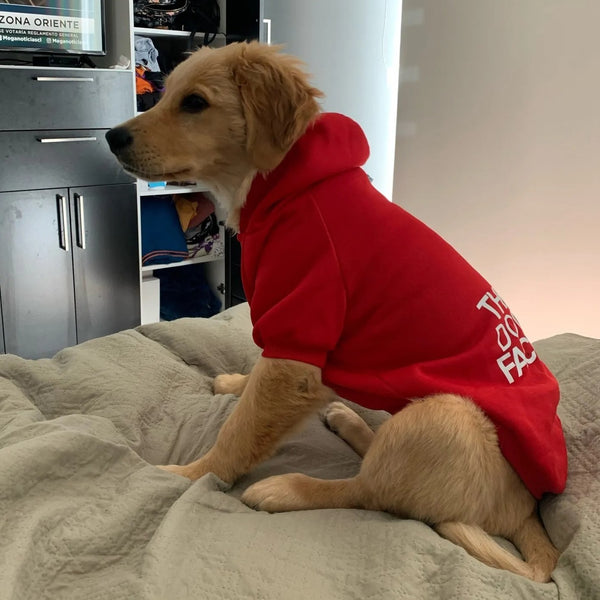 FELPA PER CANI COLOR