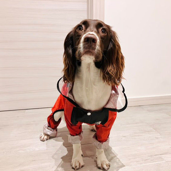 IMPERMEABILE PER CANI CON CAPPUCCIO Fluo