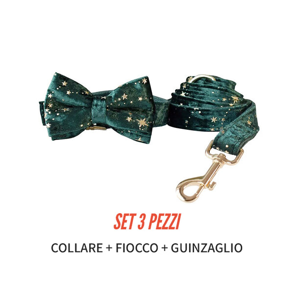 Personalizzabile - set collare per cani stelline dorate verde