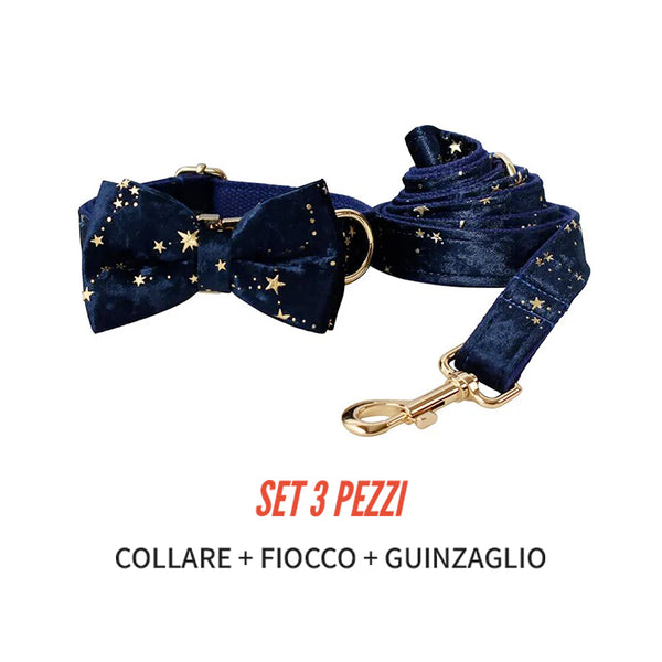 Personalizzabile - set collare per cani stelline dorate blu