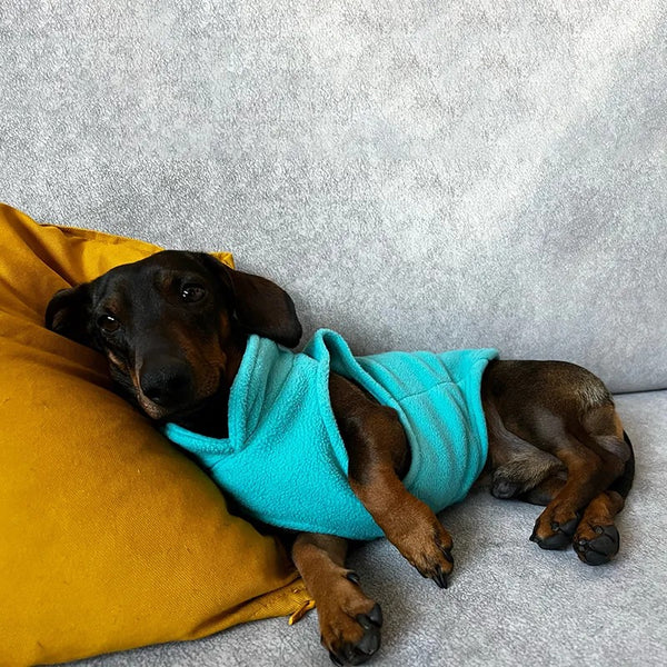 Smanicato per cani in pile color