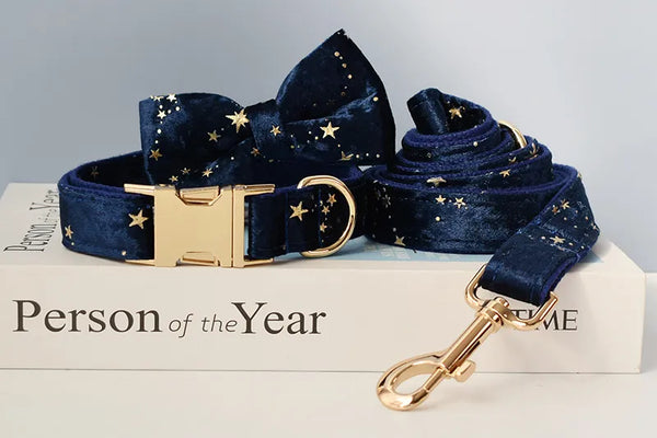 Personalizzabile - set collare per cani stelline dorate blu