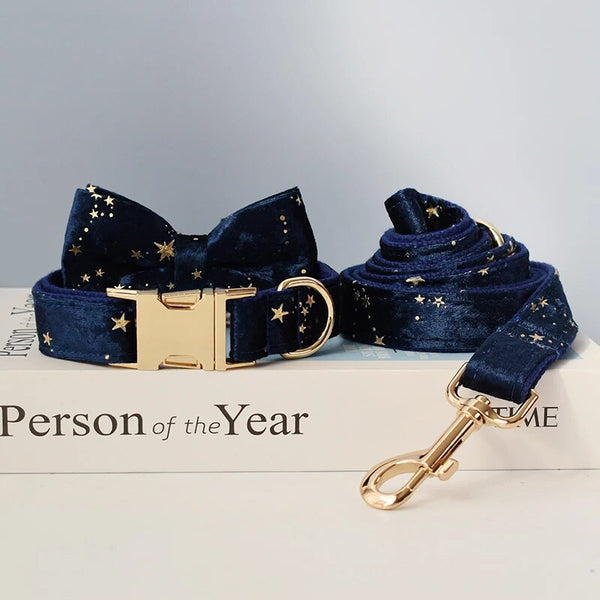 Personalizzabile - set collare per cani stelline dorate blu