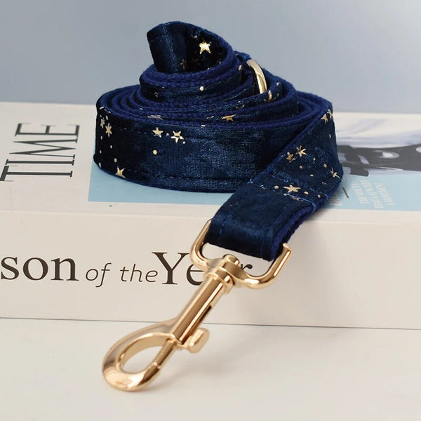 Personalizzabile - set collare per cani stelline dorate blu