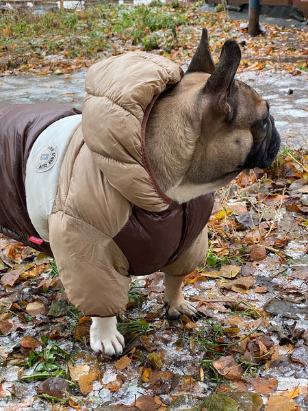 GIUBBOTTO IMBOTTITO IMPERMEABILE PER CANI BICOLOR