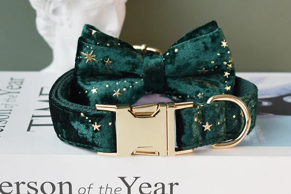 Personalizzabile - set collare per cani stelline dorate verde