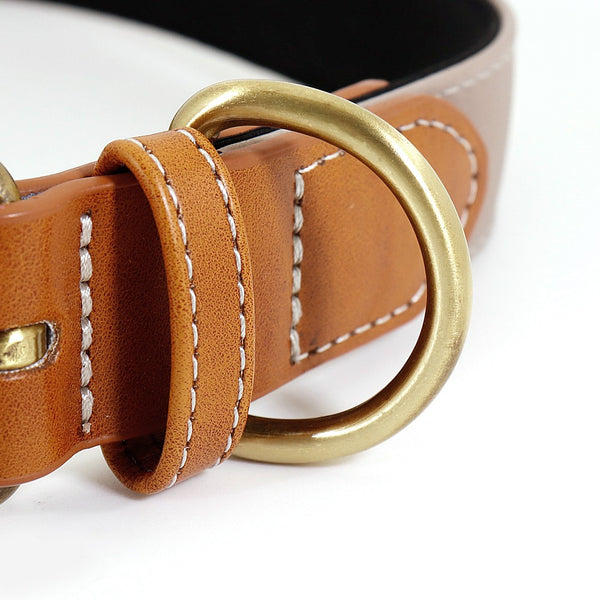 PERSONALIZZABILE - COLLARE PER CANI IN MATERIALE CATARIFRANGENTE E PELLE PU