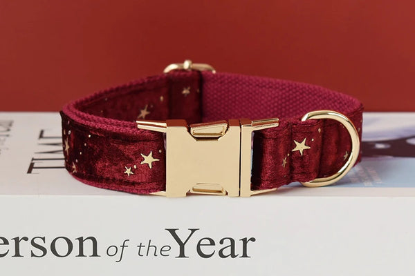 Personalizzabile - set collare per cani stelline dorate rosso