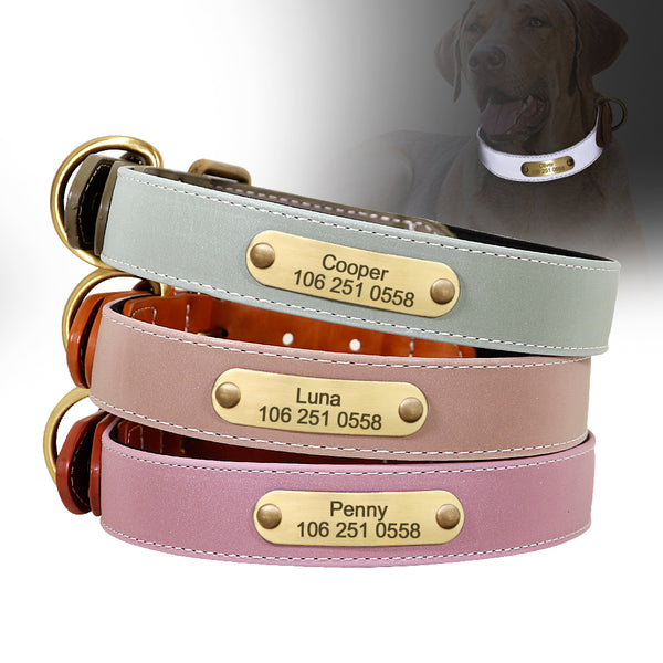 PERSONALIZZABILE - COLLARE PER CANI IN MATERIALE CATARIFRANGENTE E PELLE PU