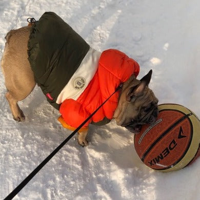 GIUBBOTTO IMBOTTITO IMPERMEABILE PER CANI BICOLOR