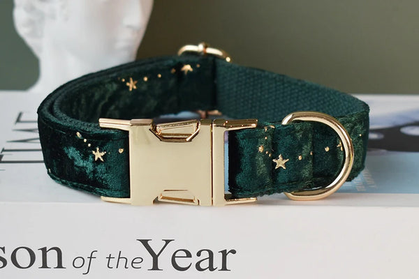 Personalizzabile - set collare per cani stelline dorate verde