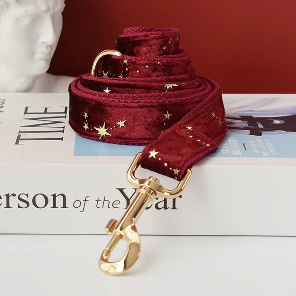 Personalizzabile - set collare per cani stelline dorate rosso