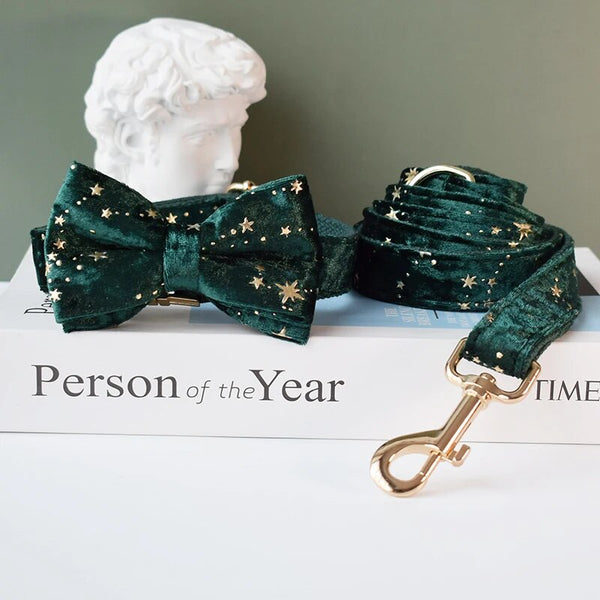 Personalizzabile - set collare per cani stelline dorate verde