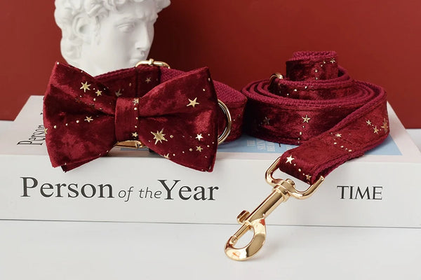 Personalizzabile - set collare per cani stelline dorate rosso