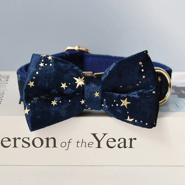 Personalizzabile - set collare per cani stelline dorate blu