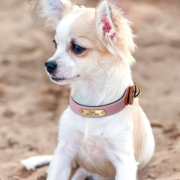 PERSONALIZZABILE - COLLARE PER CANI IN MATERIALE CATARIFRANGENTE E PELLE PU