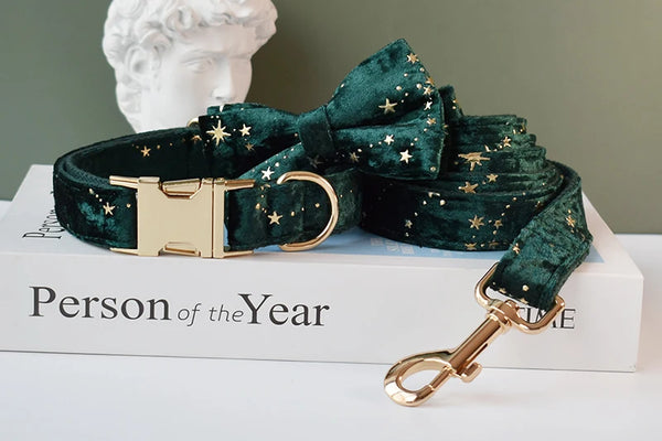 Personalizzabile - set collare per cani stelline dorate verde
