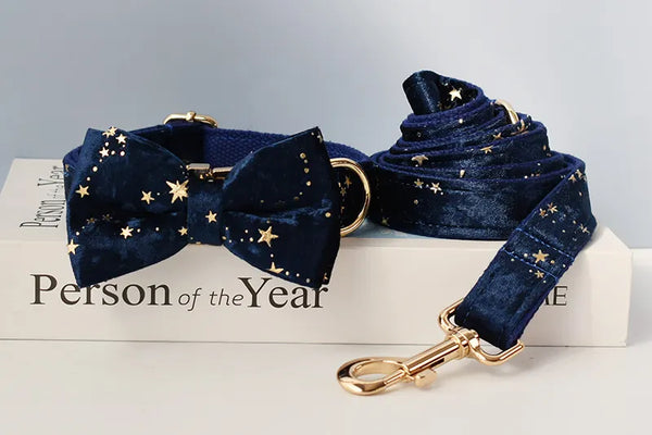 Personalizzabile - set collare per cani stelline dorate blu