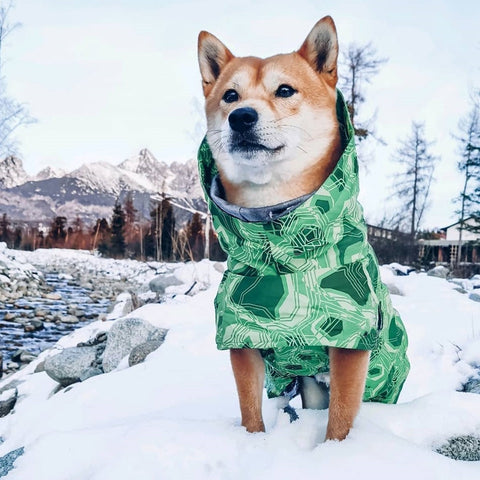Impermeabile aperto per la neve per cani