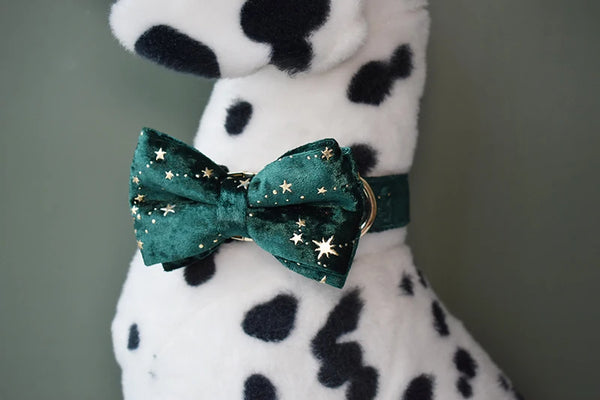 Personalizzabile - set collare per cani stelline dorate verde