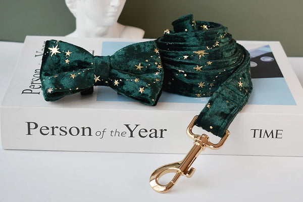 Personalizzabile - set collare per cani stelline dorate verde