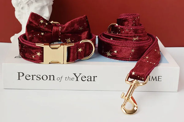 Personalizzabile - set collare per cani stelline dorate rosso