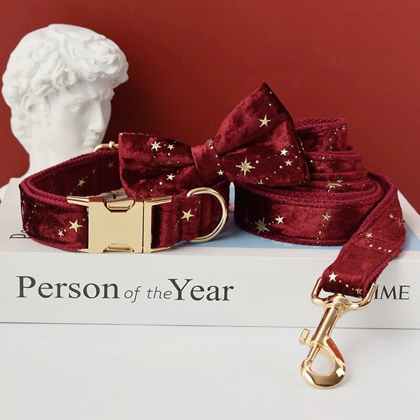 Personalizzabile - set collare per cani stelline dorate rosso