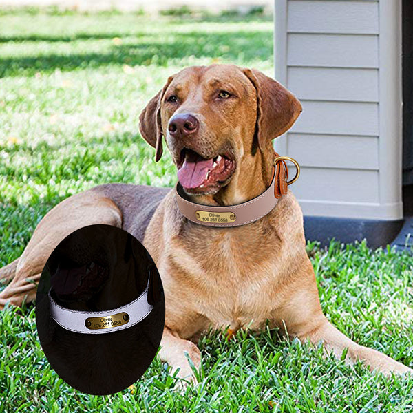 PERSONALIZZABILE - COLLARE PER CANI IN MATERIALE CATARIFRANGENTE E PELLE PU