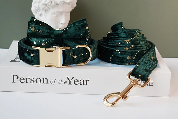Personalizzabile - set collare per cani stelline dorate verde