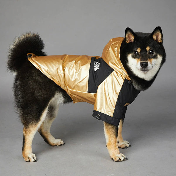 Impermeabile per cani anti pioggia con cappuccio