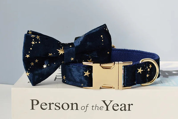 Personalizzabile - set collare per cani stelline dorate blu