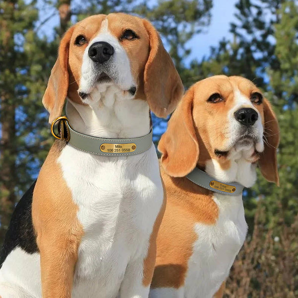 PERSONALIZZABILE - COLLARE PER CANI IN MATERIALE CATARIFRANGENTE E PELLE PU