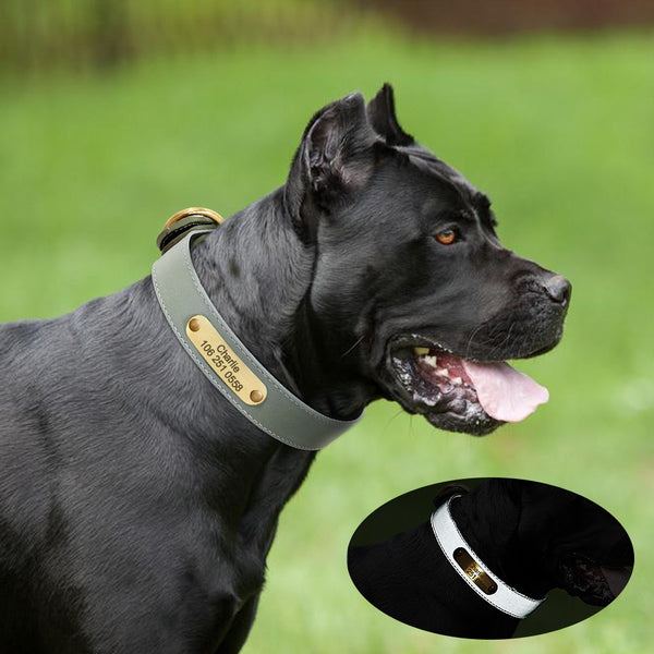 PERSONALIZZABILE - COLLARE PER CANI IN MATERIALE CATARIFRANGENTE E PELLE PU