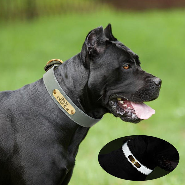 CUSTOMIZABLE - DOG COLLAR IN REFLECTIVE MATERIAL AND PU LEATHER