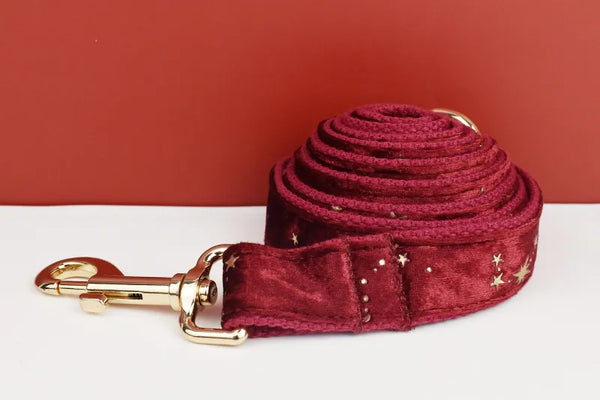 Personalizzabile - set pettorina per cani stelline dorate rosso