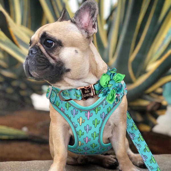 PERSONALIZZABILE - SET PETTORINA PER CANI CON BORDO CATARIFRANGENTE, COLLARE E GUINZAGLIO SUMMER