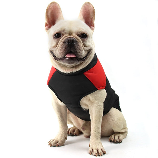 GIUBBOTTO PER CANI SMANICATO BICOLOR - new