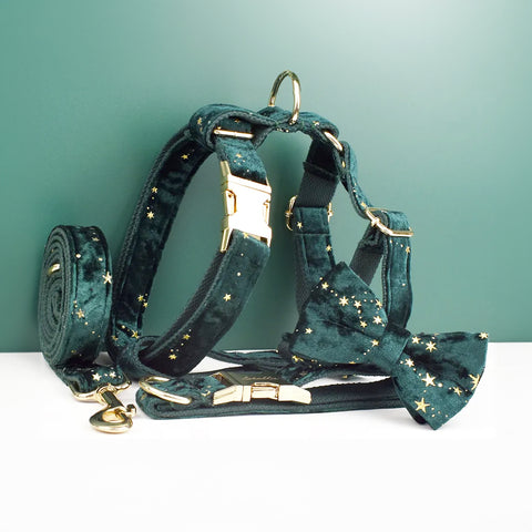Personalizzabile - set pettorina per cani stelline dorate verde