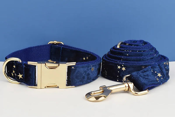 Personalizzabile - set pettorina per cani stelline dorate blu