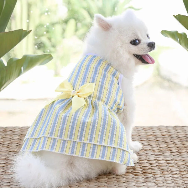 Vestito per cani elegante con maxi fiocco