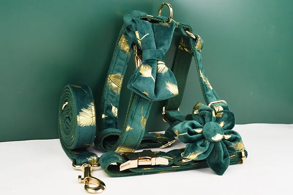 Personalizzabile - set pettorina per cani piume oro verde